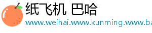 纸飞机 巴哈